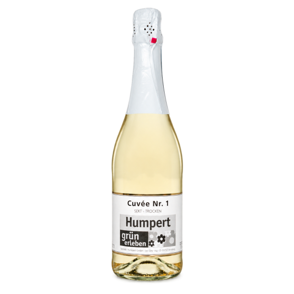 Water Concepts – Flasche Sekt Cuvée alkoholfreier Wein mit Logo und Etikett
