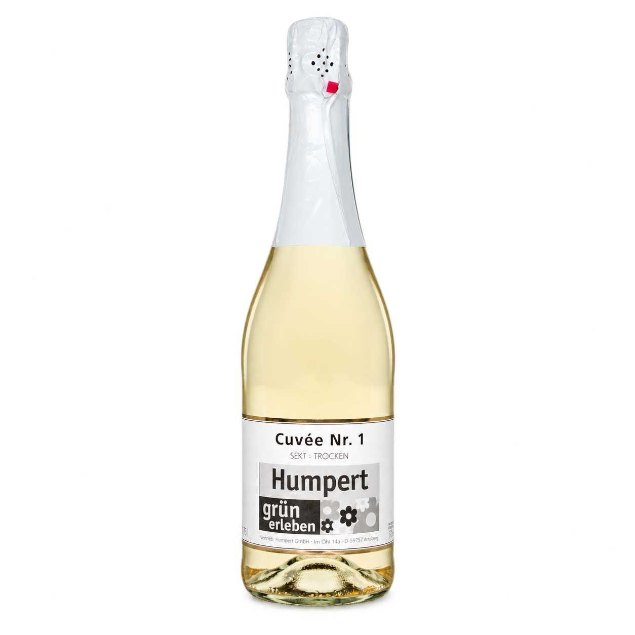 Water Concepts – Flasche Sekt Cuvée alkoholfreier Wein mit Logo und Etikett