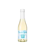 Wasserkonzepte – Flasche Secco Vino Frizzante Wein mit Logo und Etikett